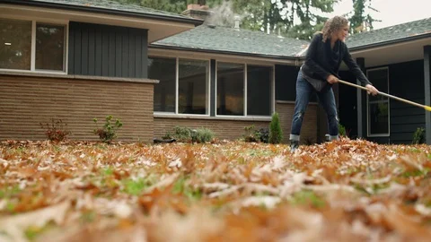 Woman raking leaves in garden, panning right. Stock Footage