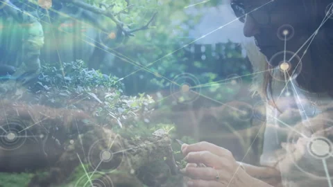 Woman reaching bonsai moss causing technology network nodes overlaying while Vídeos de archivo 314849620