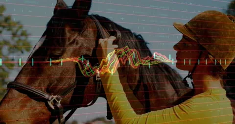 Woman Bridle Stock Videos – Royalty-Free HD & 4K Videos