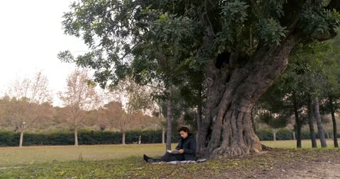Woman reading under a thousand-year-old tree and autumn forest Stock Footage 143843553