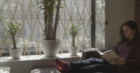 Woman reads on the couch Stock Footage 129200092