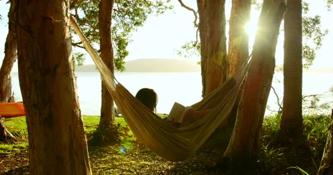 reading holes on the hammock in the rising sun