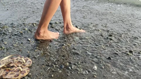Woman Removing Slippers and Walking Toward the Beach 動画素材 289543053