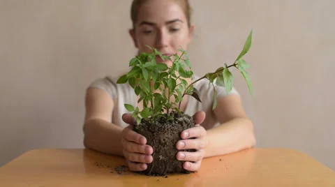 Woman removing sprout from the table Stock Footage 67826805