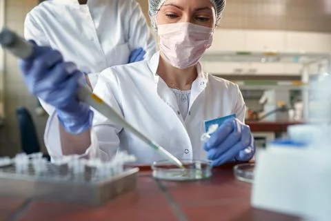 Woman researcher analyzing microbilogy samples Stock Photos