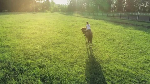 A woman rides trotted on a brown horse with her back to the camera, slow motion Stock Footage