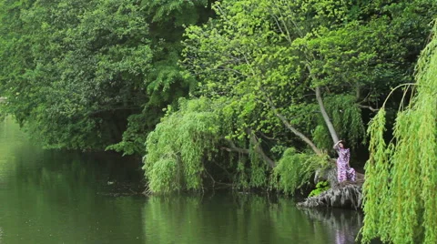 Woman on the roots of a tree Stock-Footage 50855682