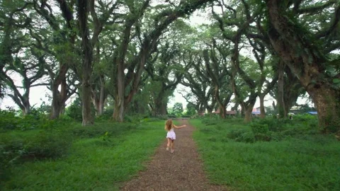 Woman run in forest path surrounded by tall Stock Footage 295763514