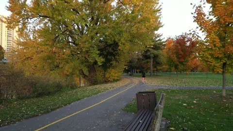 Woman running down a path in the fall Stock Footage 289109982