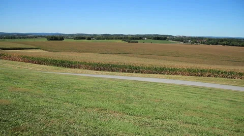 Woman running in front of cornfields during Fall Video stock 29387807