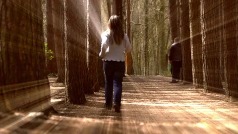 Woman running through pine forest canopy with heavenly light rays effects Vídeos de archivo 188912657