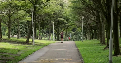 Woman Running on Tree-Lined Path in Park Video stock 333464406