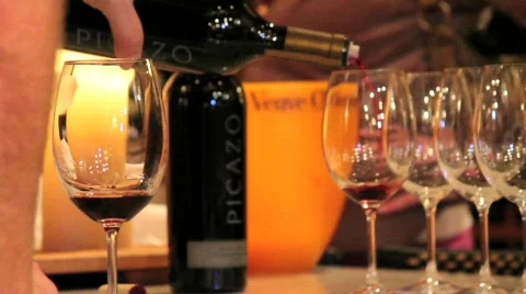 Woman Sampling Wine Stock Footage 618894