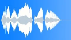 Woman Says You're So Popular 5Sound Effect