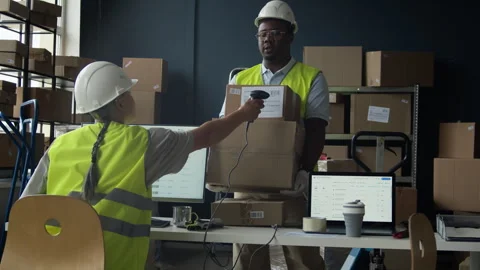 Woman Scanning Barcode on Boxes Held by Black Man in Warehouse 動画素材 337308750