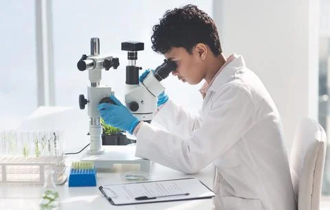 Woman, scientist and document with microscope in lab, plant experiment Foto stock