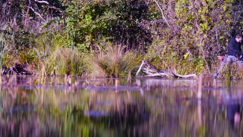 Woman scientist ecologist getting samples of water Video stock 95936487