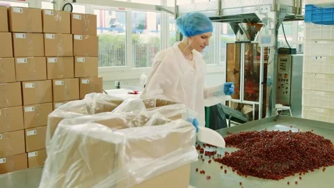 Woman scooping red granules into boxes in industrial factory Stock-Footage 340604716