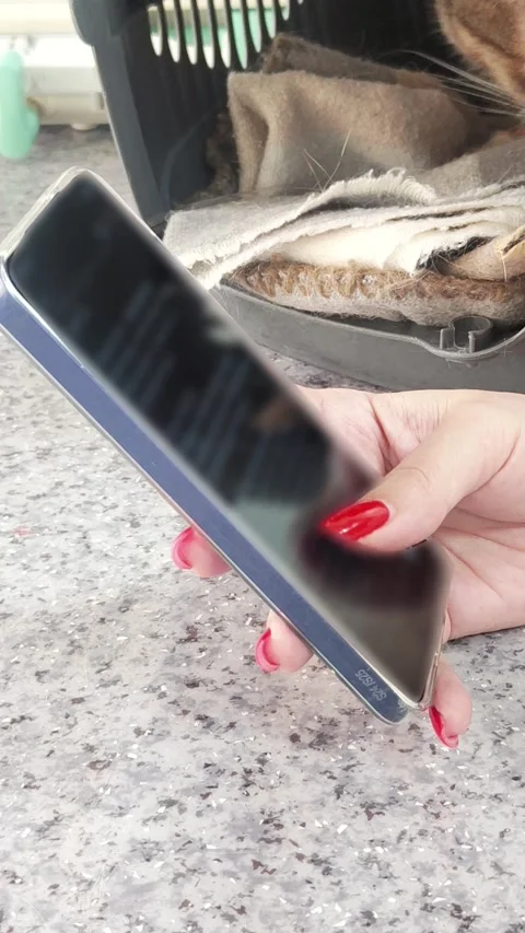 Woman Scrolling Phone While Cat Waits in Carrier at Vet Clinic Stock Footage 337025869