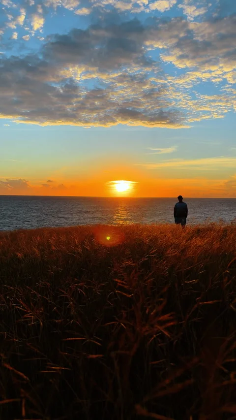 A woman is seen standing on a patch of grass, facing the vast ocean. The sun is Stock Footage 326679881