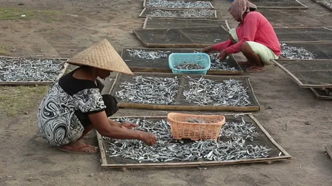 Woman select and classify dried anchovy near Boom beach in Banyuwangi, Stock Footage 132500196