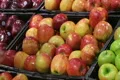 Woman Selecting Apples In Produce Footage