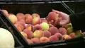 Woman Selecting Peaches In Produce HD Footage