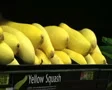 Woman Selecting Squash SD Footage