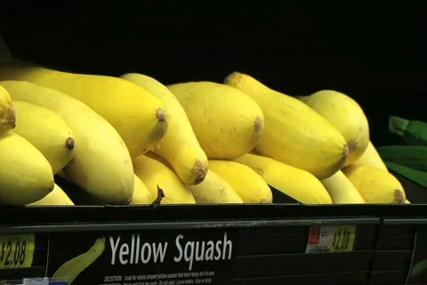 Woman Selecting Squash 動画素材 2769932