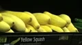 Woman Selecting Squash HD Footage