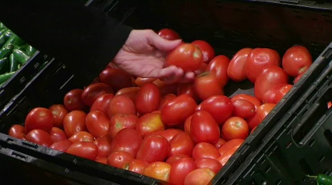 Woman Selecting Tomatoes In Produce Stock Footage