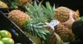 Woman Selects Pineapple HD Footage