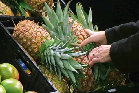 Woman Selects Pineapple 動画素材 2769955
