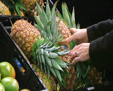 Woman Selects Pineapple 動画素材 2872934