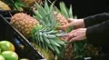 Woman Selects Pineapple HD Footage