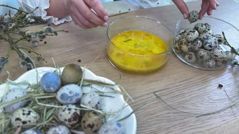 Woman separates quail shells to make an Easter wreath nest of willow and quail e Stockbeeldmateriaal 304948519