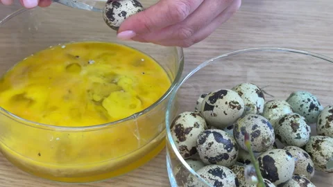 Woman separates quail shells to make an Easter wreath nest of willow and quail e Vidéo 304951516