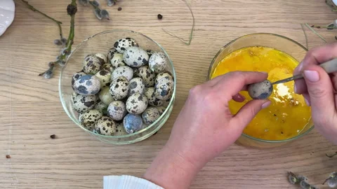 Woman separates quail shells to make an Easter wreath nest of willow and quail e Stockbeeldmateriaal 304951543