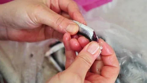 A woman separating fish bones Stock Footage 169479957