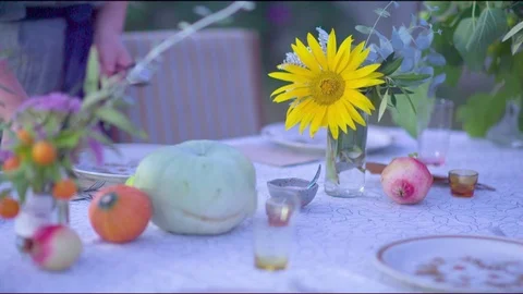 Woman setting a dining table in garden Stock Footage 76132666