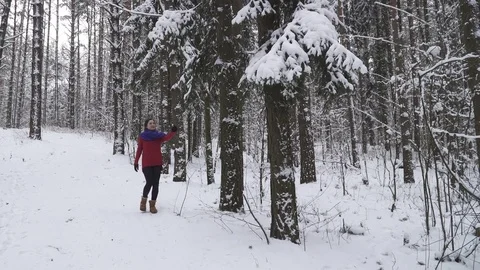 Woman shake down the snow with a tree Stock Footage 71360007
