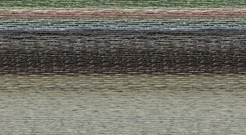 Woman shoos massive python from garden in flood-hit Kerala Stock Footage 106317608