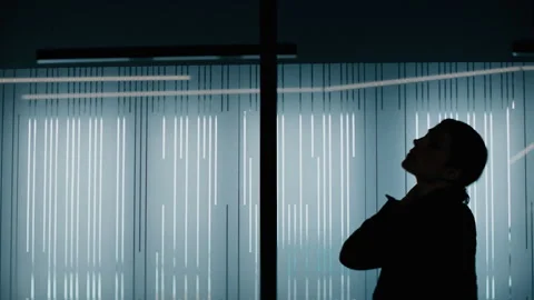 Woman Silhouette in the office Stock Footage 254761353