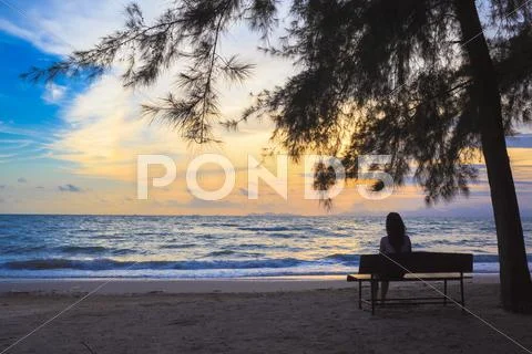 Woman sit on chairs under tree on beach at sunset Stock Photos