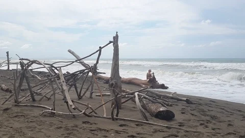 A woman sit down on a dead tree trunk on the beach and watch the sea Stock Footage 114870490