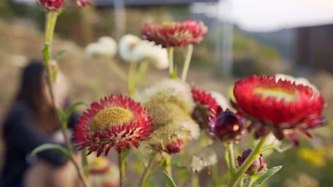 Woman sit down feeling alone while flower in front camera panning Stock Footage 128985270