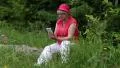 Woman sits on a fallen tree in the forest and uses smartphone HD Footage