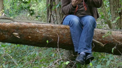 A woman sitting on a fallen tree Stock Footage 54574256