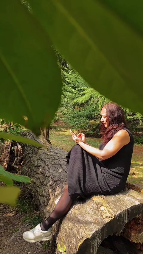 Woman sitting on fallen tree trunk using smartphone in forest Stock Footage 336867101