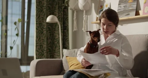 Woman on sofa reading and checking documents Stock Footage 273331901